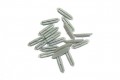 86101 Tillig Insulating rail joiners (20pcs)